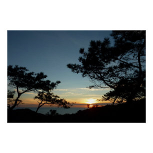 Torrey Pine Sunset III California Landschaft Poster