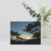 Torrey Pine Sunset III California Landschaft Postkarte (Stehend Vorderseite)