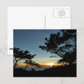 Torrey Pine Sunset III California Landschaft Postkarte (Vorne/Hinten)