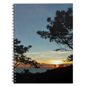 Torrey Pine Sunset III kalifornische Landschaft Notizblock