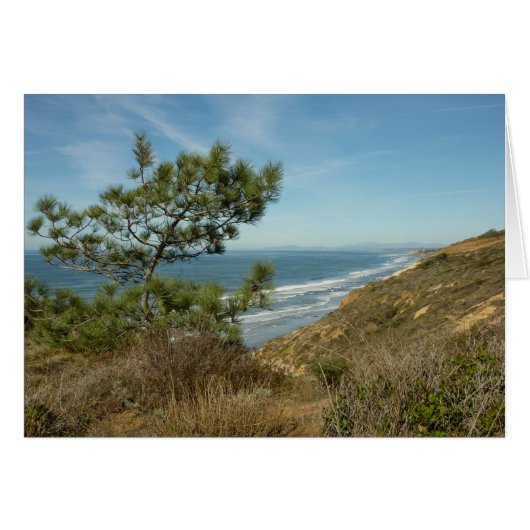 Torrey Pine und California Coastline Landschaft (Vorderseite (Horizontal))
