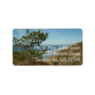 Torrey Pine und California Coastline Landschaft Adressaufkleber