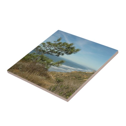 Torrey Pine und California Coastline Landschaft Fliese (Seite)