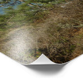 Torrey Pine und California Coastline Landschaft Fotodruck (Ecke)