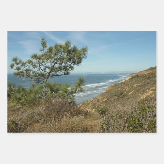 Torrey Pine und California Coastline Landschaft Geschenkpapier Set (Vorderseite)