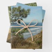 Torrey Pine und California Coastline Landschaft Geschenkpapier Set (Beispiel)