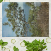 Torrey Pine und California Coastline Landschaft Geschirrtuch (Gefaltet)