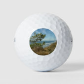 Torrey Pine und California Coastline Landschaft Golfball (Vorderseite)