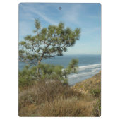 Torrey Pine und California Coastline Landschaft Klemmbrett (Rückseite)