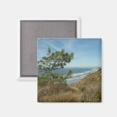 Torrey Pine und California Coastline Landschaft Magnet (Vorderseite/Rückseite)
