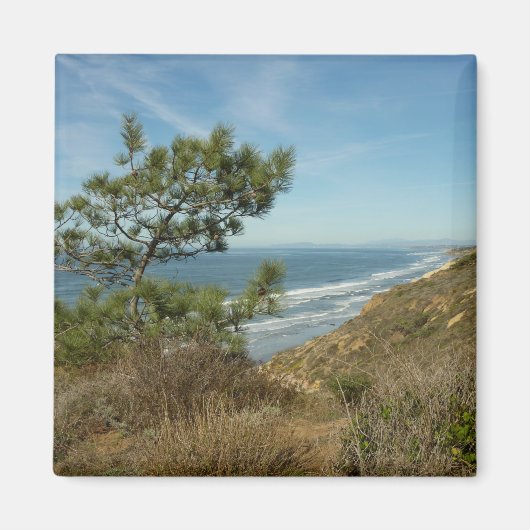 Torrey Pine und California Coastline Landschaft Magnet (Vorne)