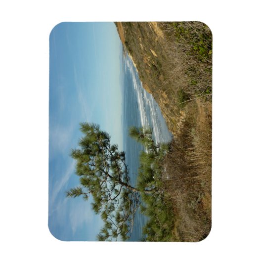 Torrey Pine und California Coastline Landschaft Magnet (Vertikal)