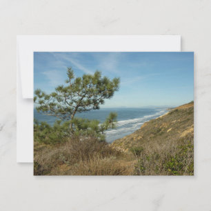 Torrey Pine und California Coastline Landschaft Mitteilungskarte