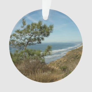 Torrey Pine und California Coastline Landschaft Ornament