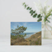 Torrey Pine und California Coastline Landschaft Postkarte (Stehend Vorderseite)