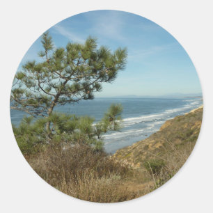 Torrey Pine und California Coastline Landschaft Runder Aufkleber