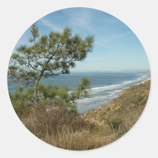 Torrey Pine und California Coastline Landschaft Runder Aufkleber (Vorderseite)