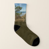 Torrey Pine und California Coastline Landschaft Socken (Rechts - Außen)