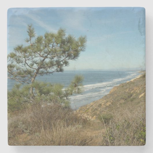Torrey Pine und California Coastline Landschaft Steinuntersetzer (Vorderseite)