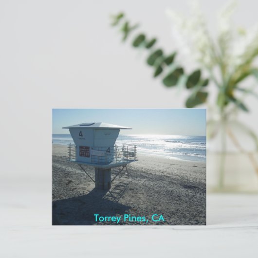 Torrey Pines, CA Postkarte (Stehend Vorderseite)