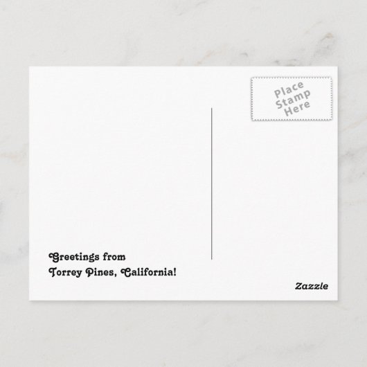 Torrey Pines Cliffs 1 Postkarte (Rückseite)