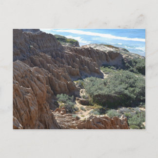 Torrey Pines Cliffs 1 Postkarte