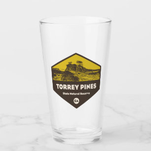 Torrey Pines Staat Reserve Kalifornien Glas