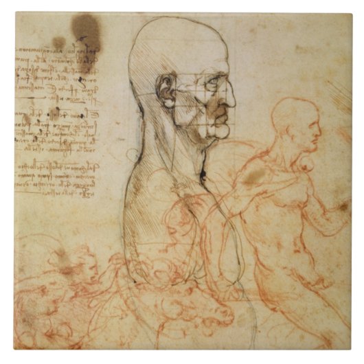 Torso eines Mannes im Profil, der Kopf quadriert Fliese (Vorderseite)