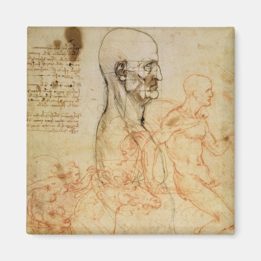 Torso eines Mannes in Profil, der Kopf Platz für P Magnet (Vorne)