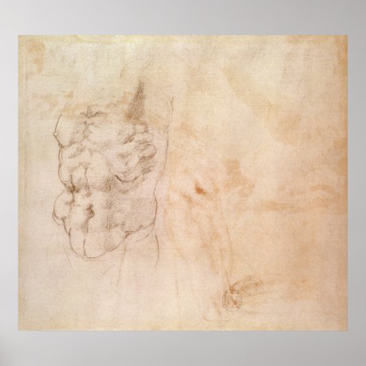 Torso-Studie Poster (Vorne)