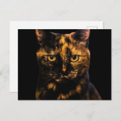 Tortie Cat Liebe Design #2 Postkarte (Vorne/Hinten)