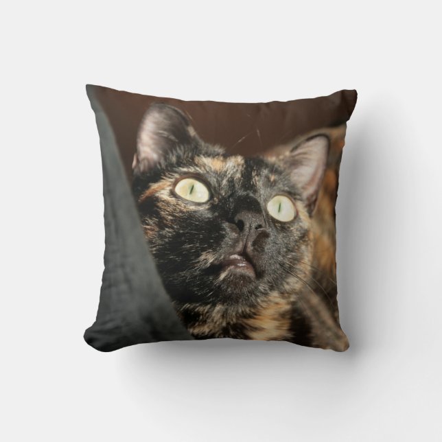 tortie cat pillow kissen (Vorderseite)