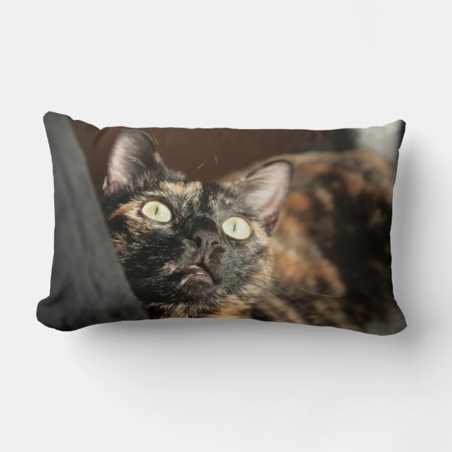 tortie cat pillow lendenkissen (Vorderseite)
