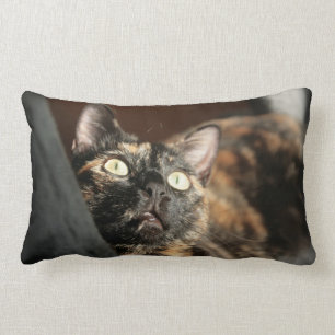 tortie cat pillow lendenkissen