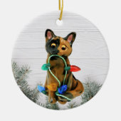 Tortie Cat Tortoiseshell Ornament (Vorne)