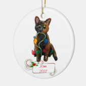 Tortie Cat Tortoiseshell Ornament (Links)
