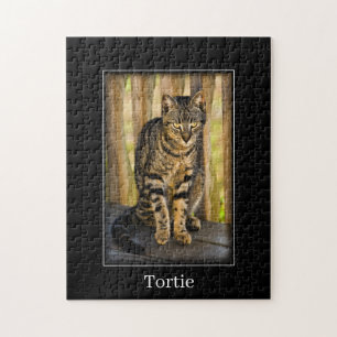 Tortie - Tortoiseshell Katze - Hausfotografie Puzzle