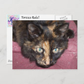 Torties Rule! Postkarte (Vorne/Hinten)
