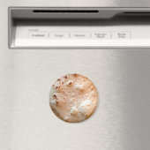 Tortilla Magnet (In Situ (Geschirrspüler))