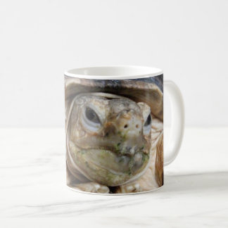 Tortoise, Afrikaner, Tortoise, Sulcata Kaffeetasse