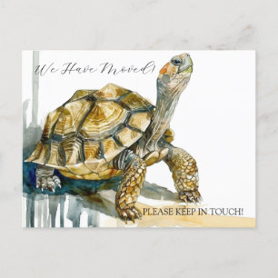 Tortoise Art Postkarte