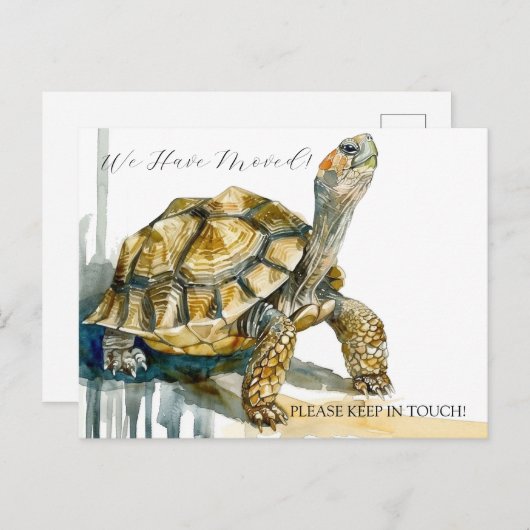 Tortoise Art Postkarte (Vorne/Hinten)