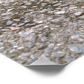 Tortoise auf einem Tierposter der Mission Poster (Ecke)