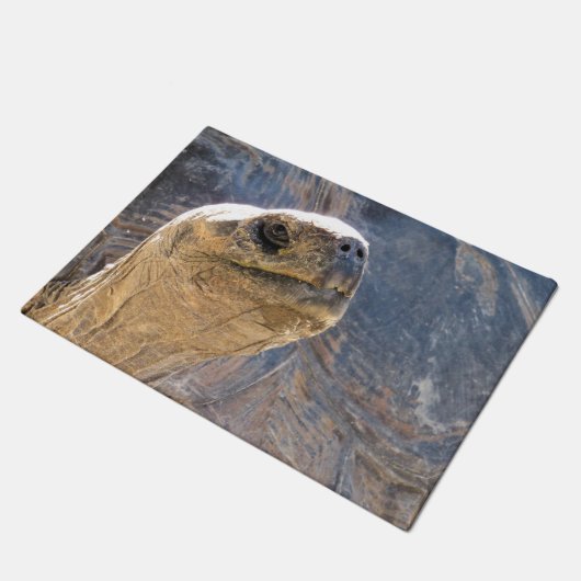 Tortoise begrüßen - Doormat Fußmatte (Schrägansicht)