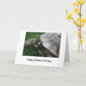 Tortoise Belated Birthday Card Karte (Gelbe Blume)