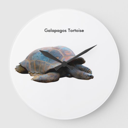 Tortoise-Bild für die Uhr (Vorderseite)