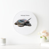 Tortoise-Bild für die Uhr (Zuhause)