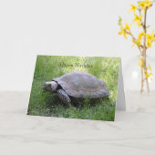 Tortoise Birthday Card Karte (Gelbe Blume)