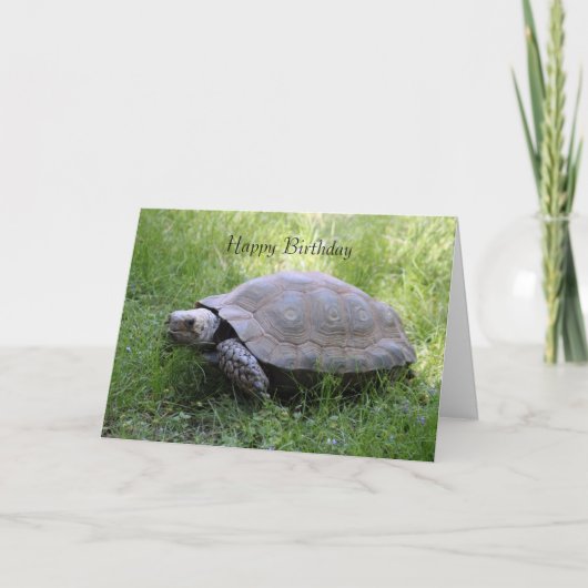 Tortoise Birthday Card Karte (Vorderseite)
