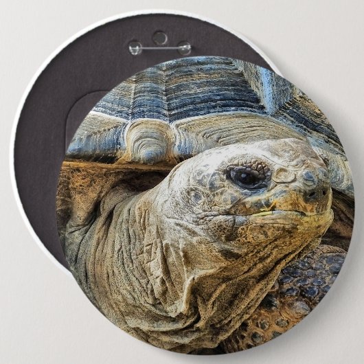 TORTOISE BUTTON (Vorne & Hinten)